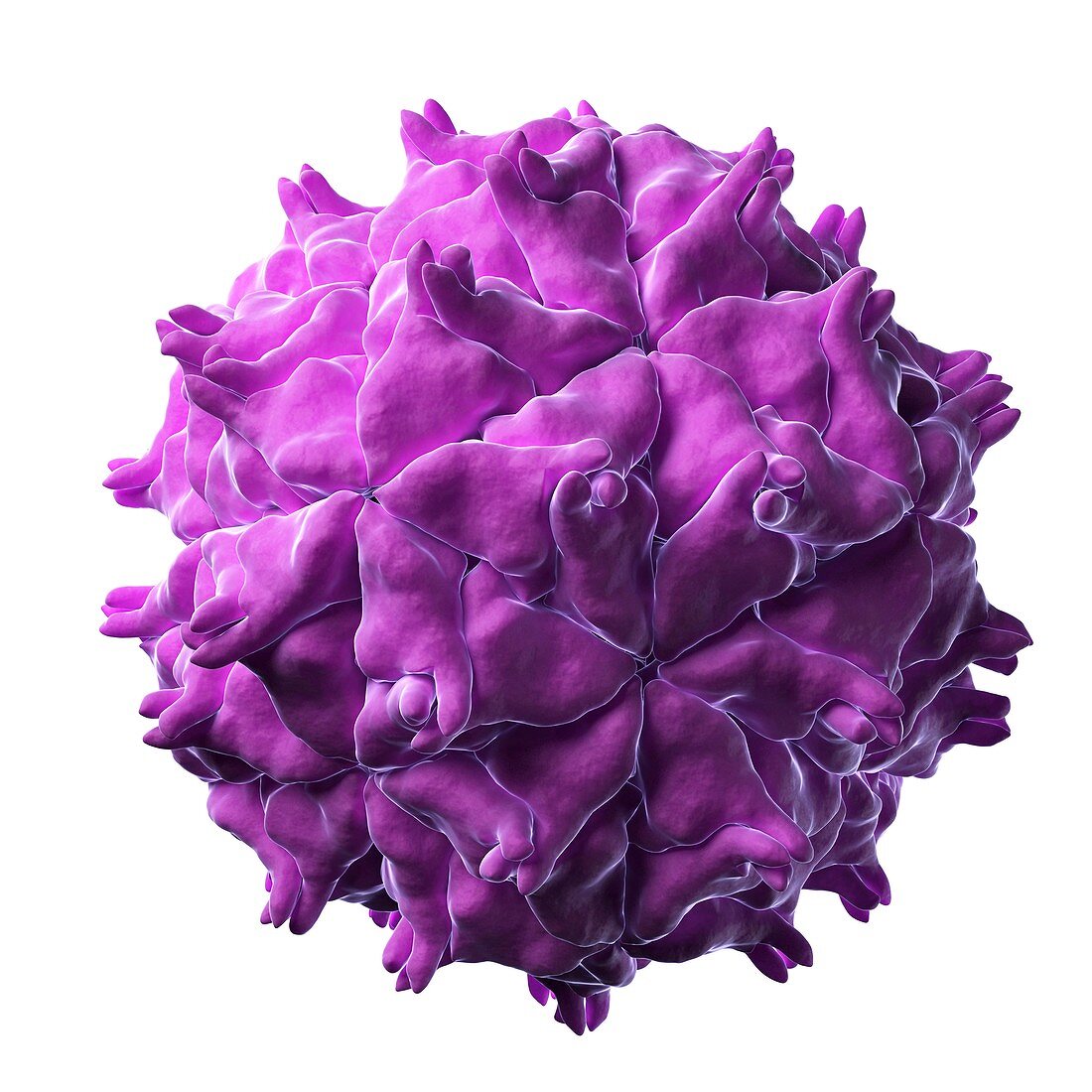 Nodamura virus particle
