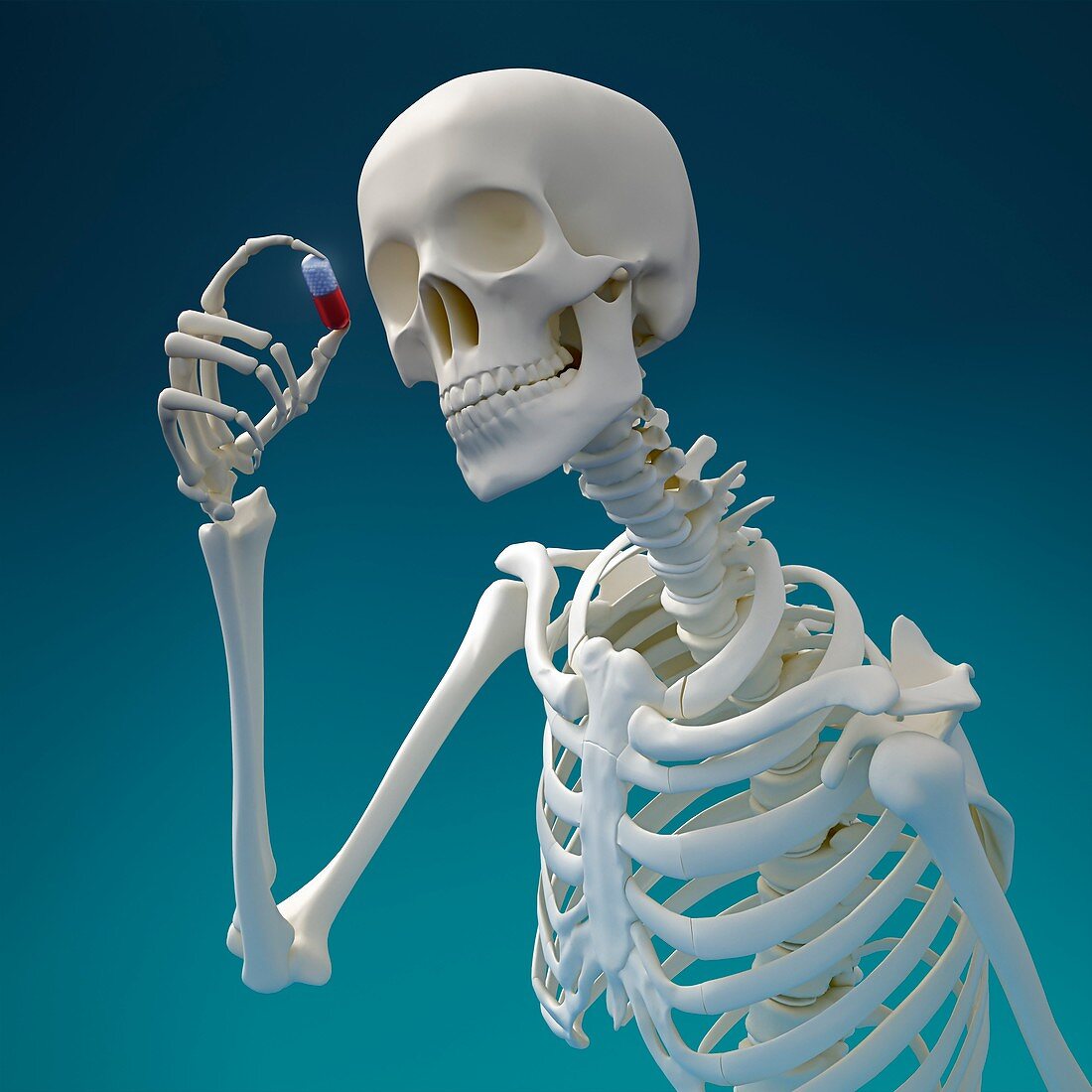 Skeleton with pill,artwork