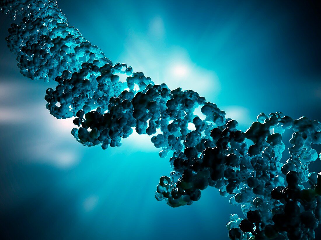 DNA molecule,artwork