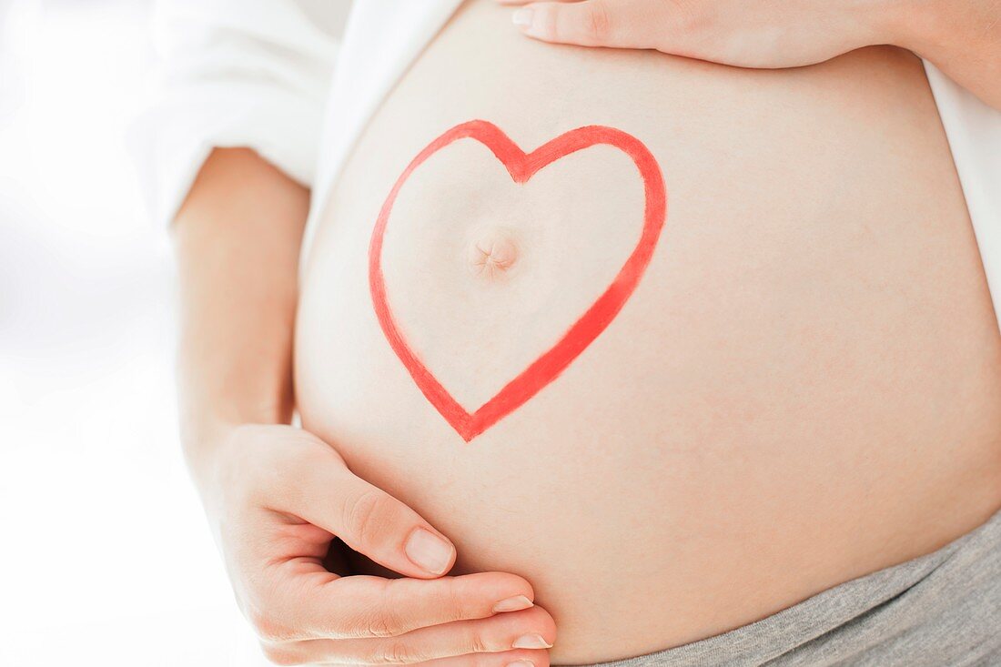 Pregnant woman's abdomen
