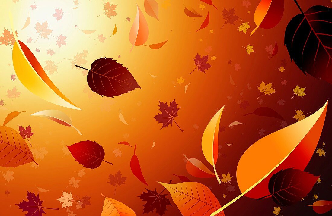 Autumn leaves,artwork