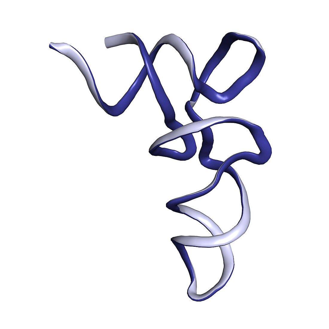 tRNA molecule