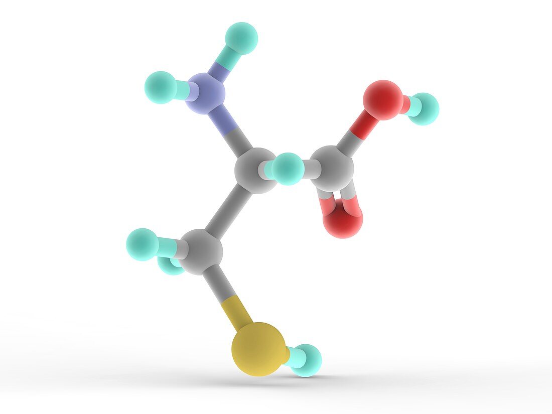 Cysteine Molecule