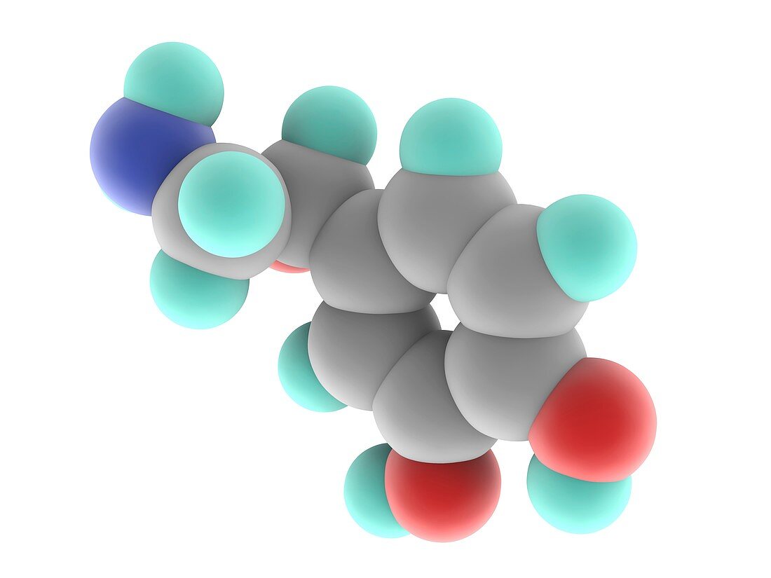 Noradrenaline norepinephrine molecule