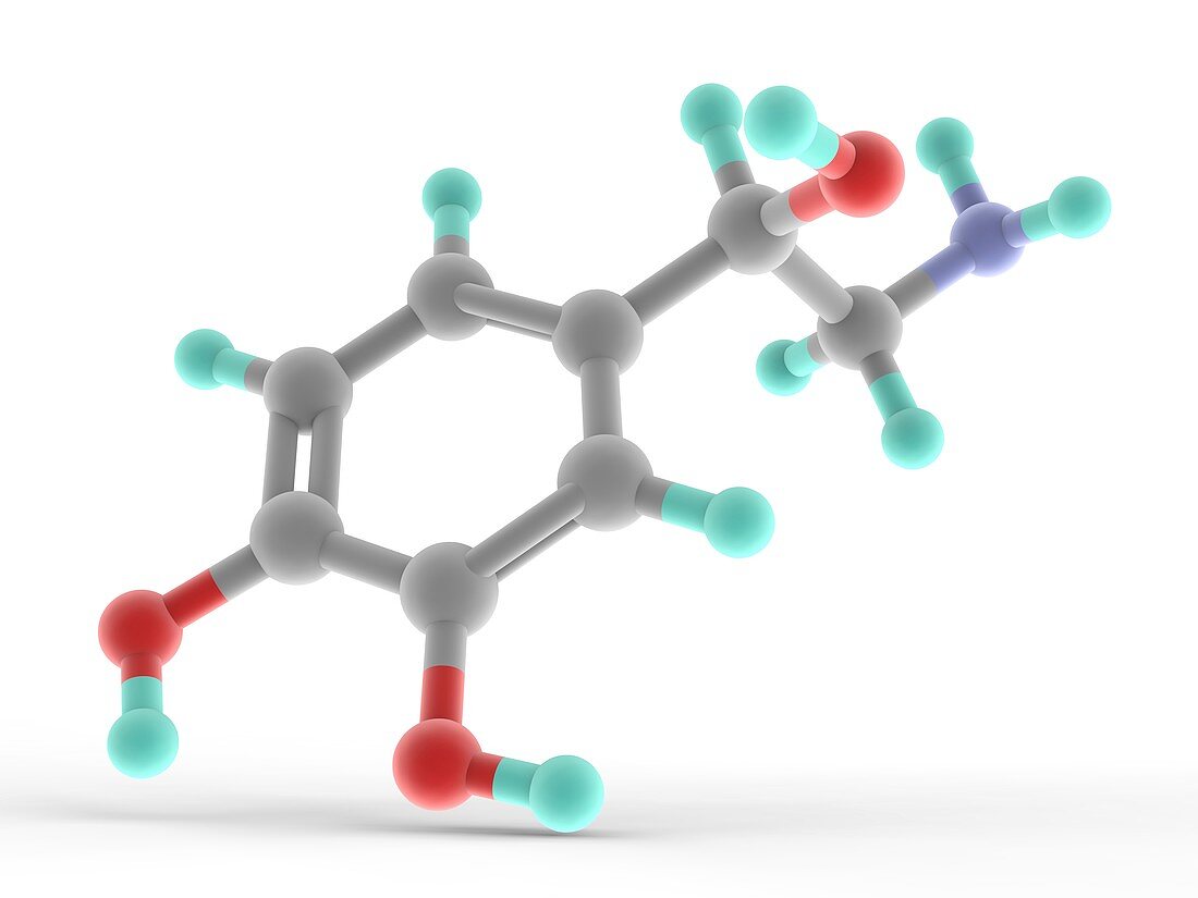 Noradrenaline norepinephrine molecule