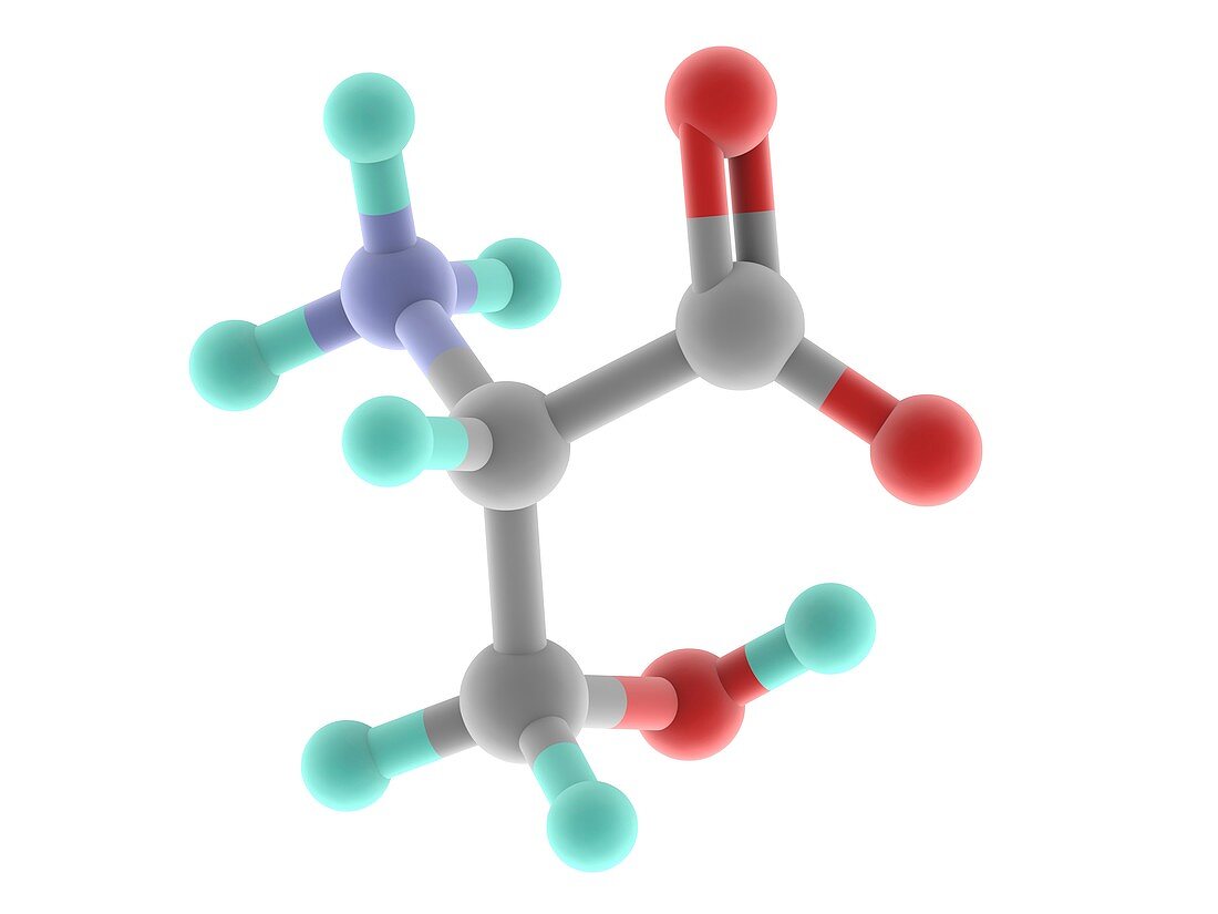 Serine molecule