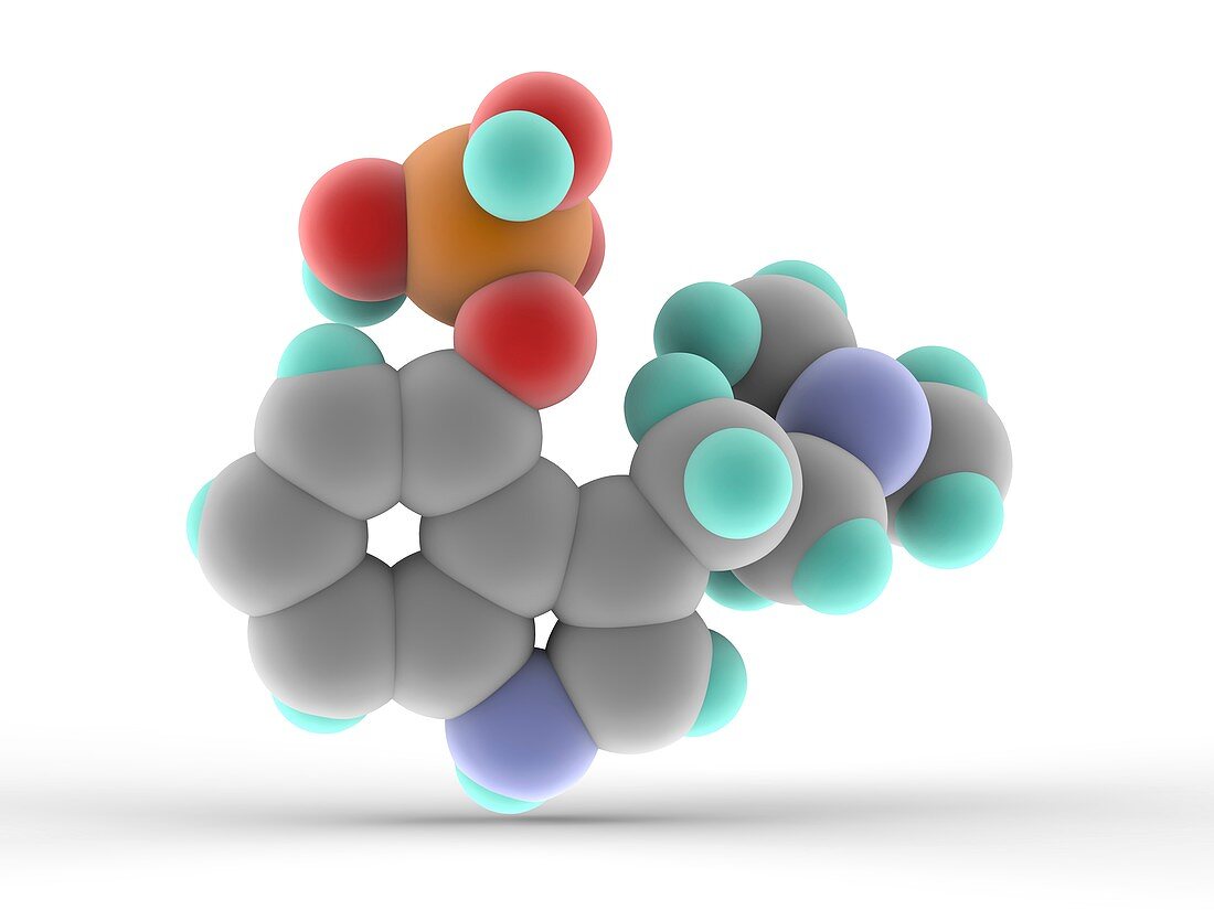 Psilocybin drug molecule