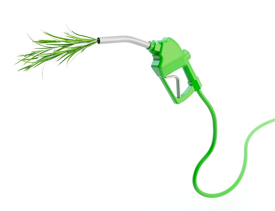 Biofuel,conceptual artwork