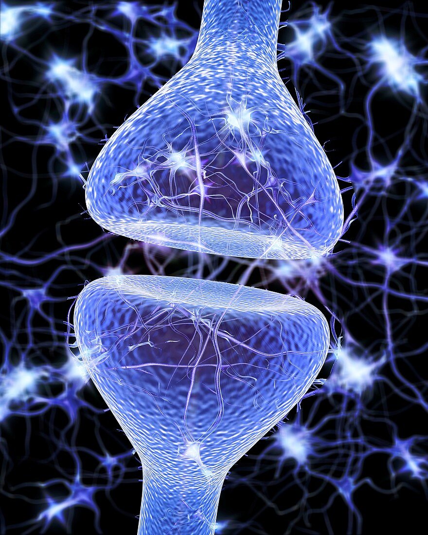 Nerve synapse,artwork