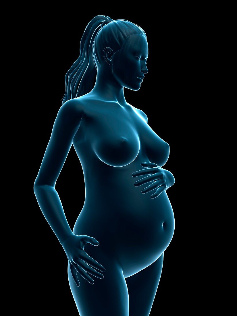 Pregnancy,artwork