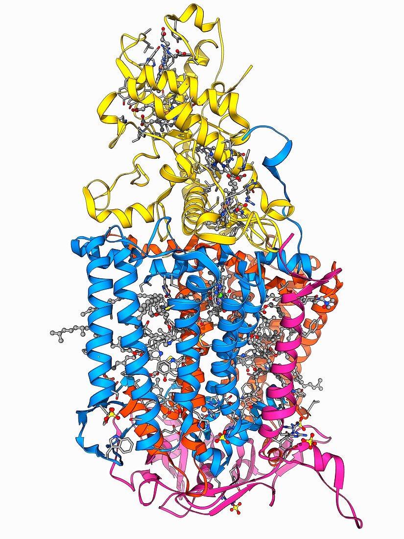 Photosynthetic reaction centre