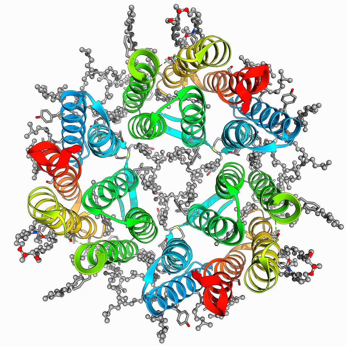 Bacteriorhodopsin protein