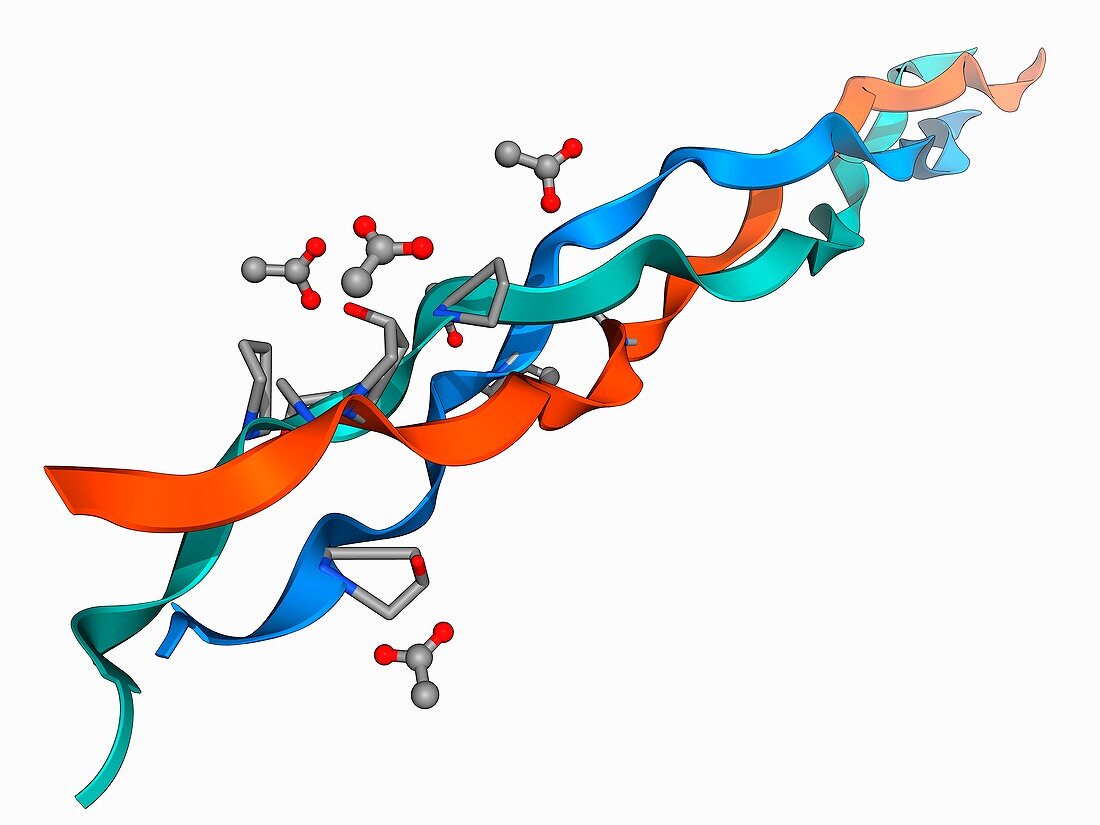 Collagen-like molecule