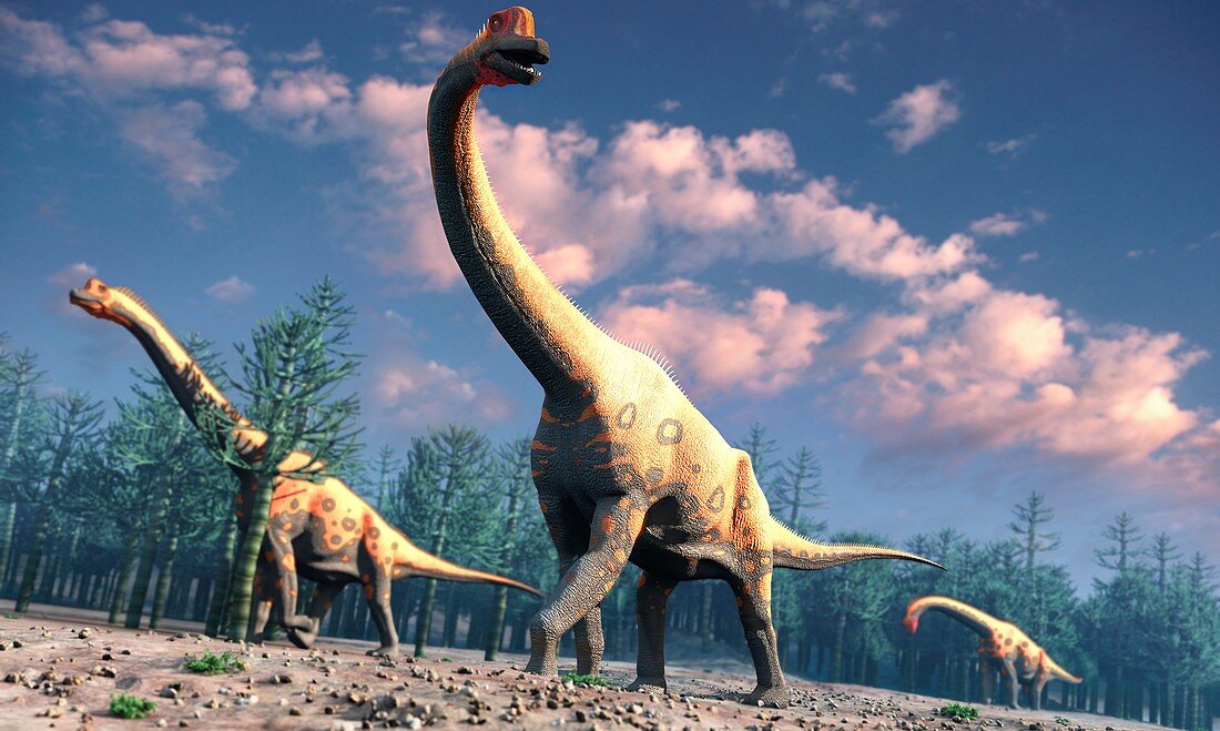 Artwork of brachiosaurus