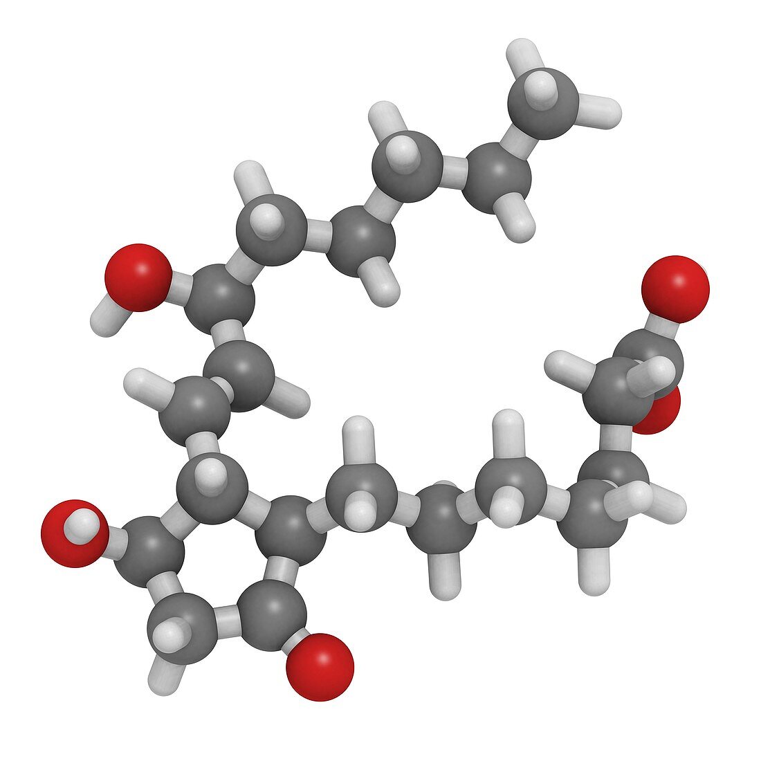 Prostaglandin E1 drug molecule