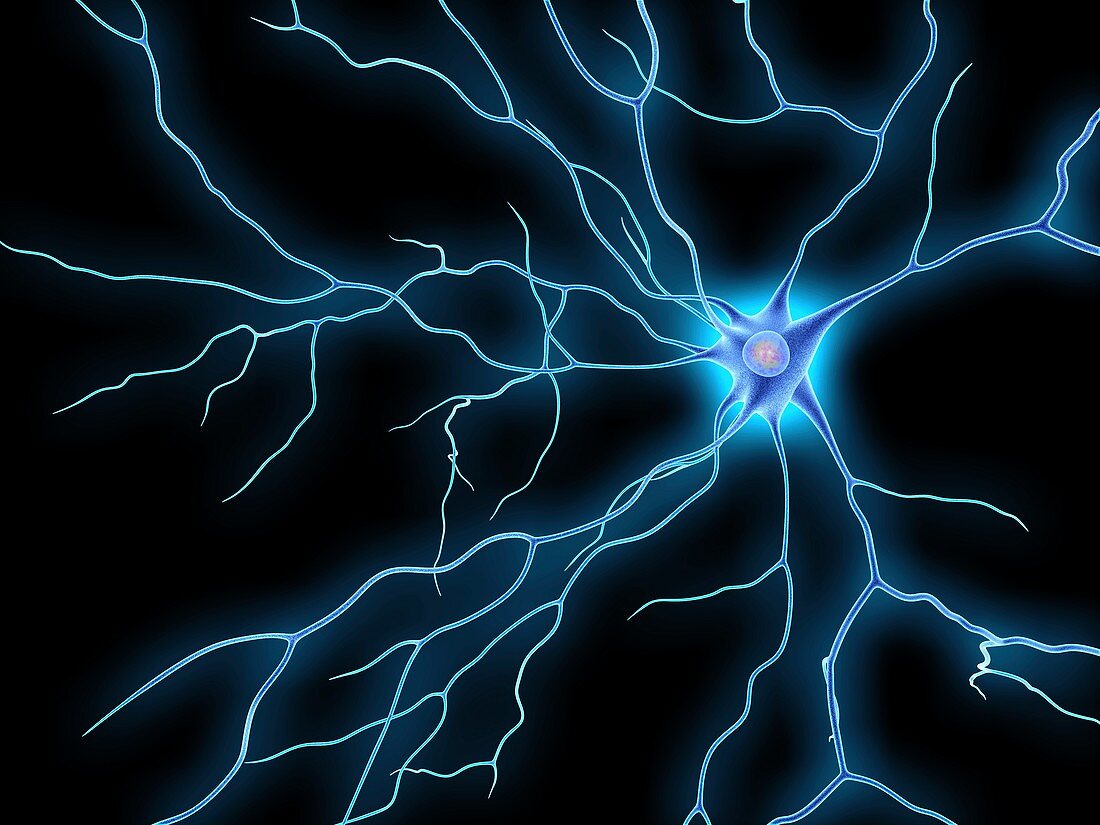Nerve cell,artwork