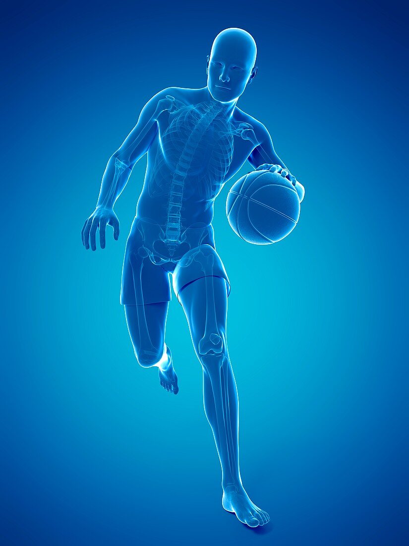 Basketball player,artwork