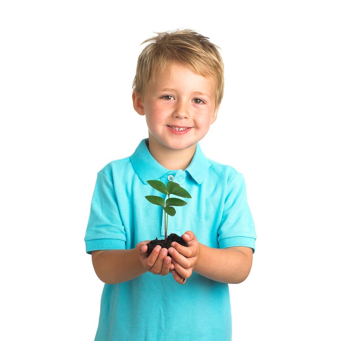 Boy holding seedling