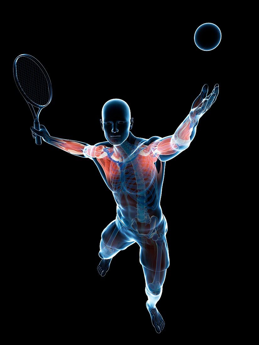 Tennis player,artwork