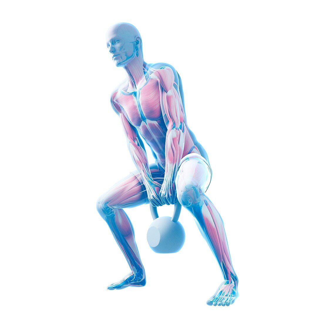 Kettlebell workout,artwork