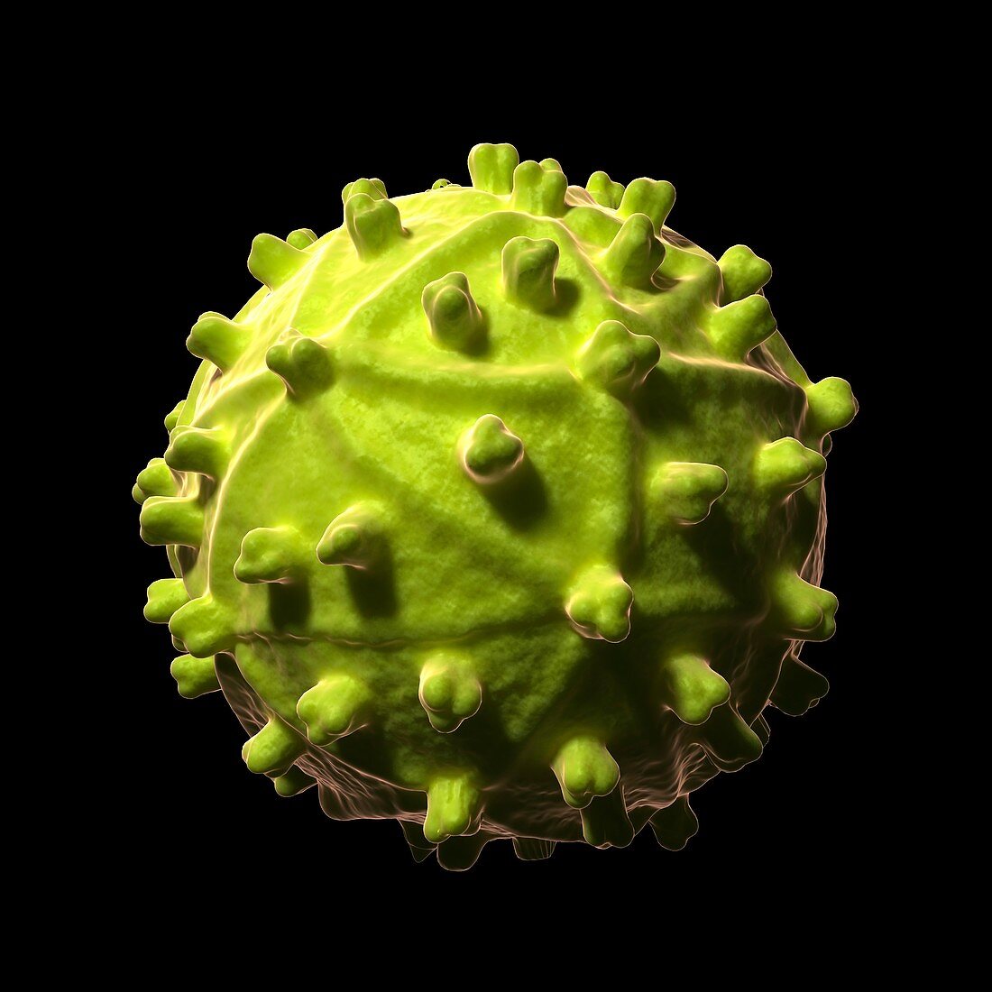 HIV virus,artwork