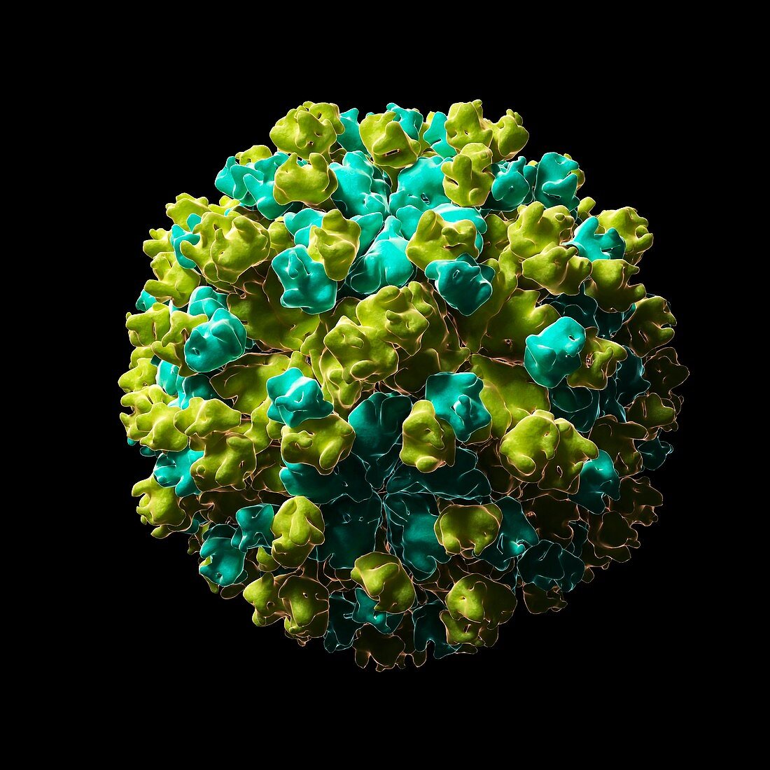 Hepatitis E virus particle,artwork