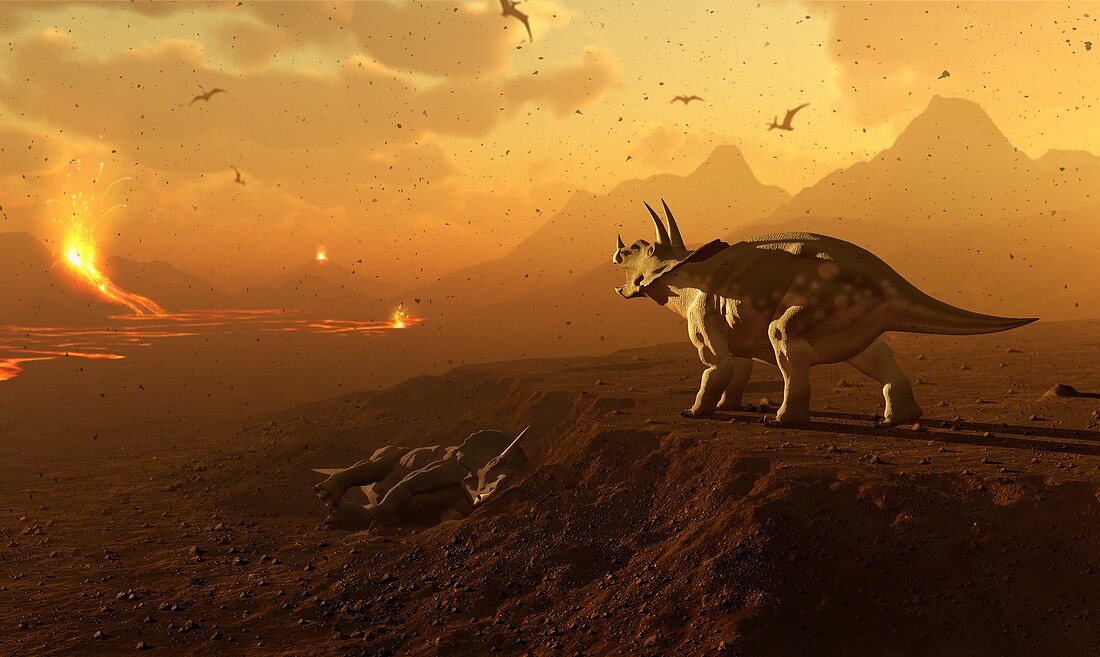 Triceratops and volcanic landscape