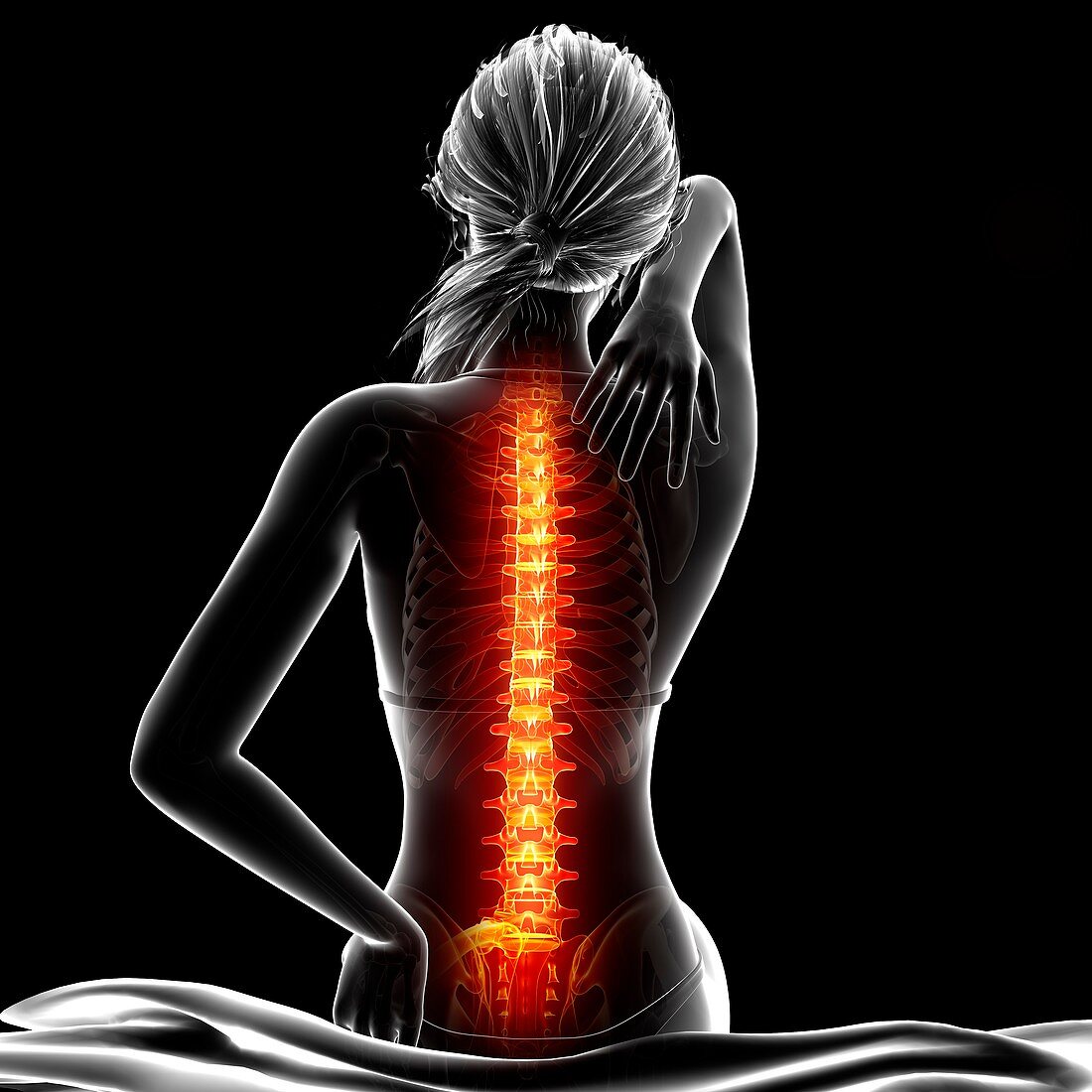 Back pain,artwork