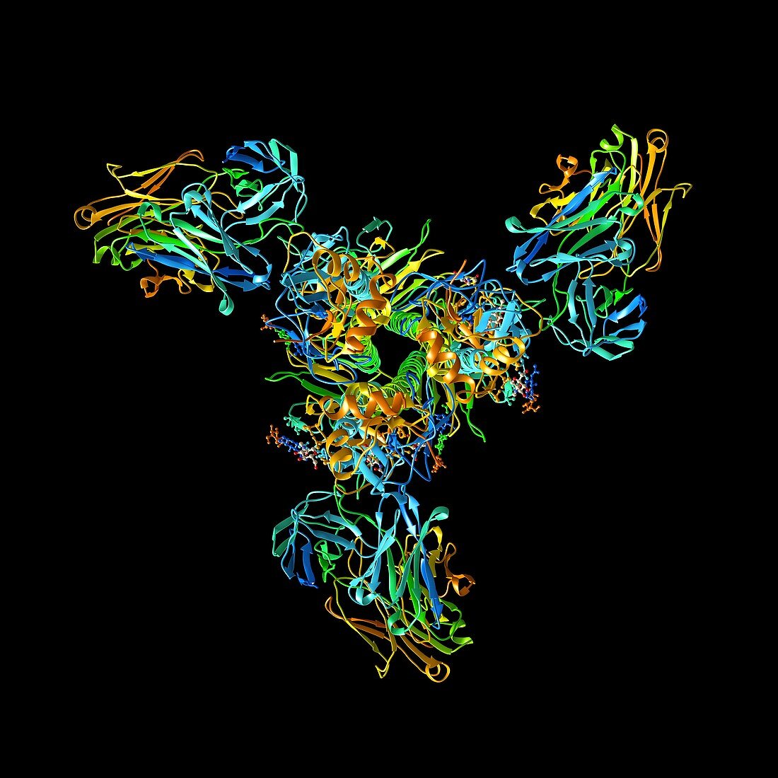 Haemagglutinin viral surface protein
