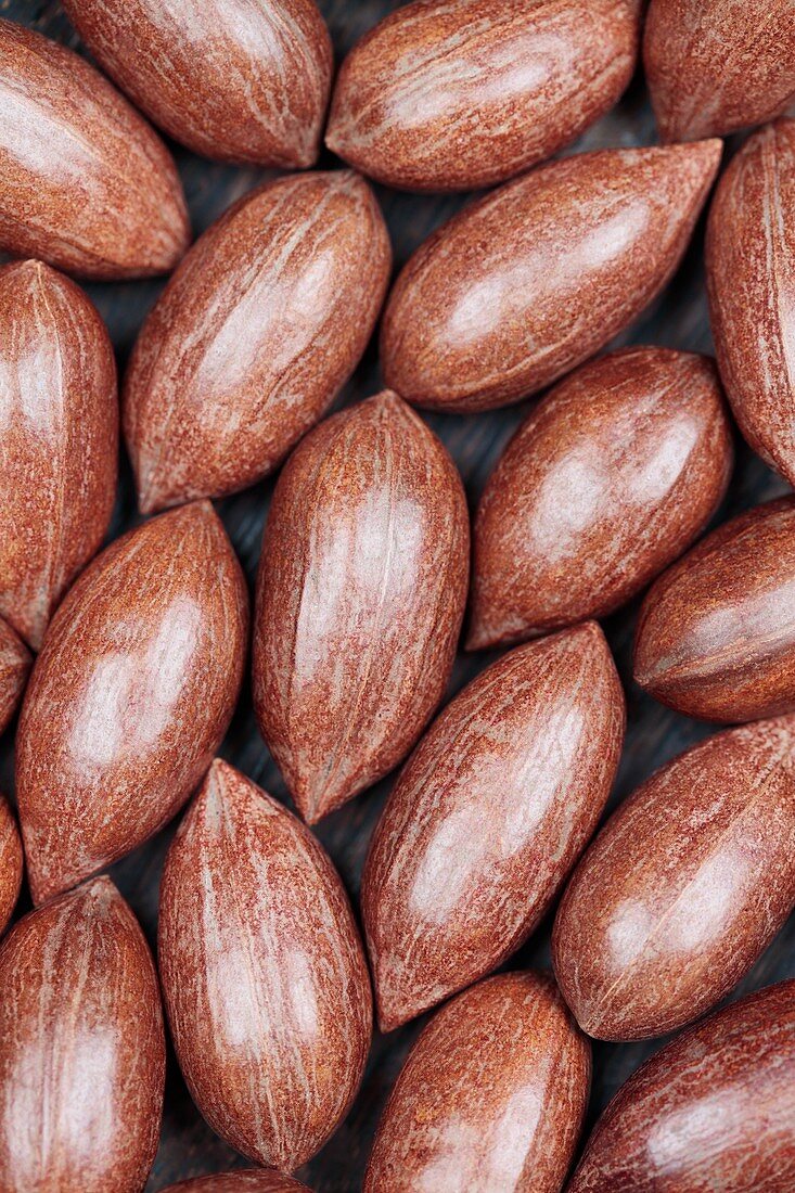 Pecans