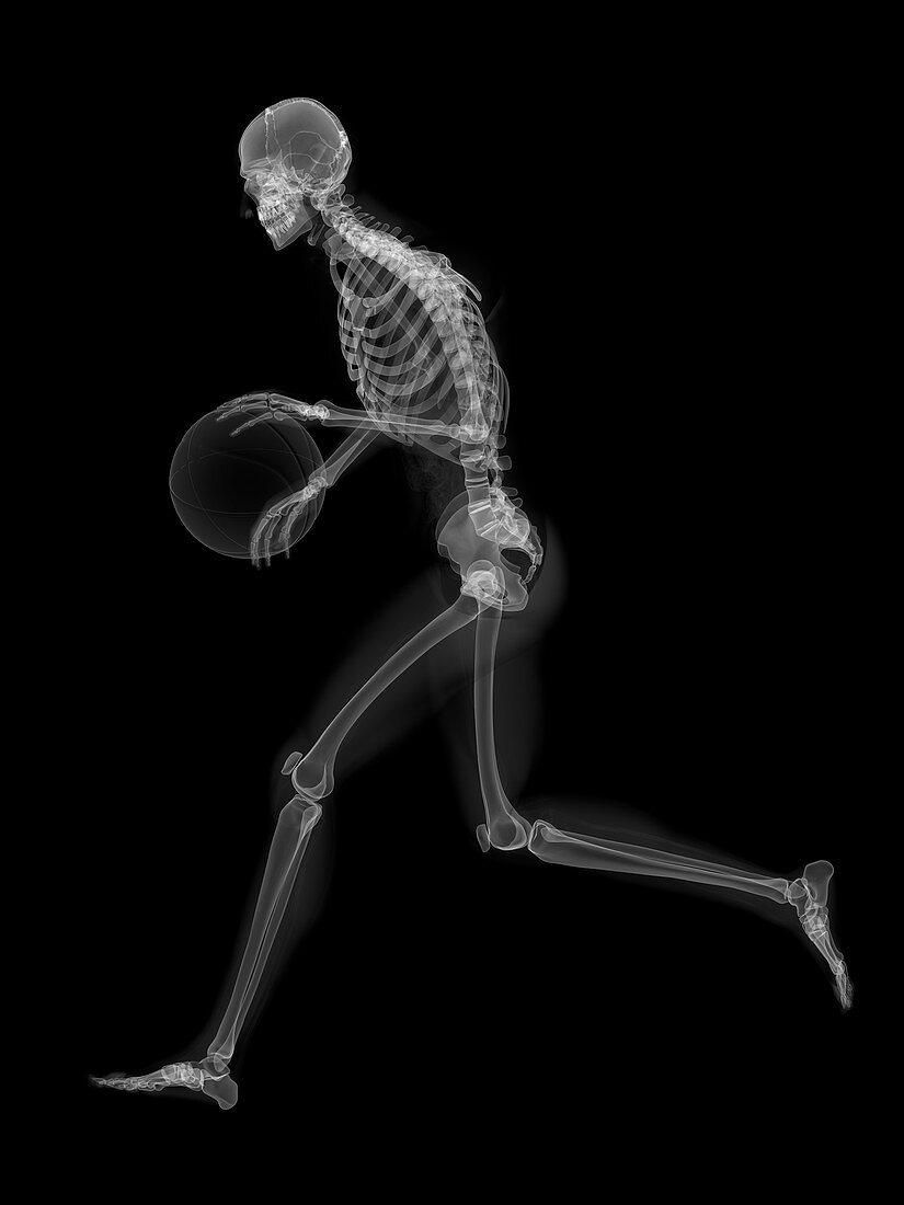 Skeleton playing basketball,artwork