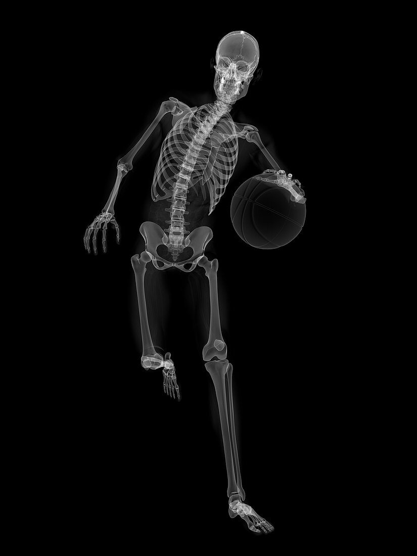 Skeleton playing basketball,artwork