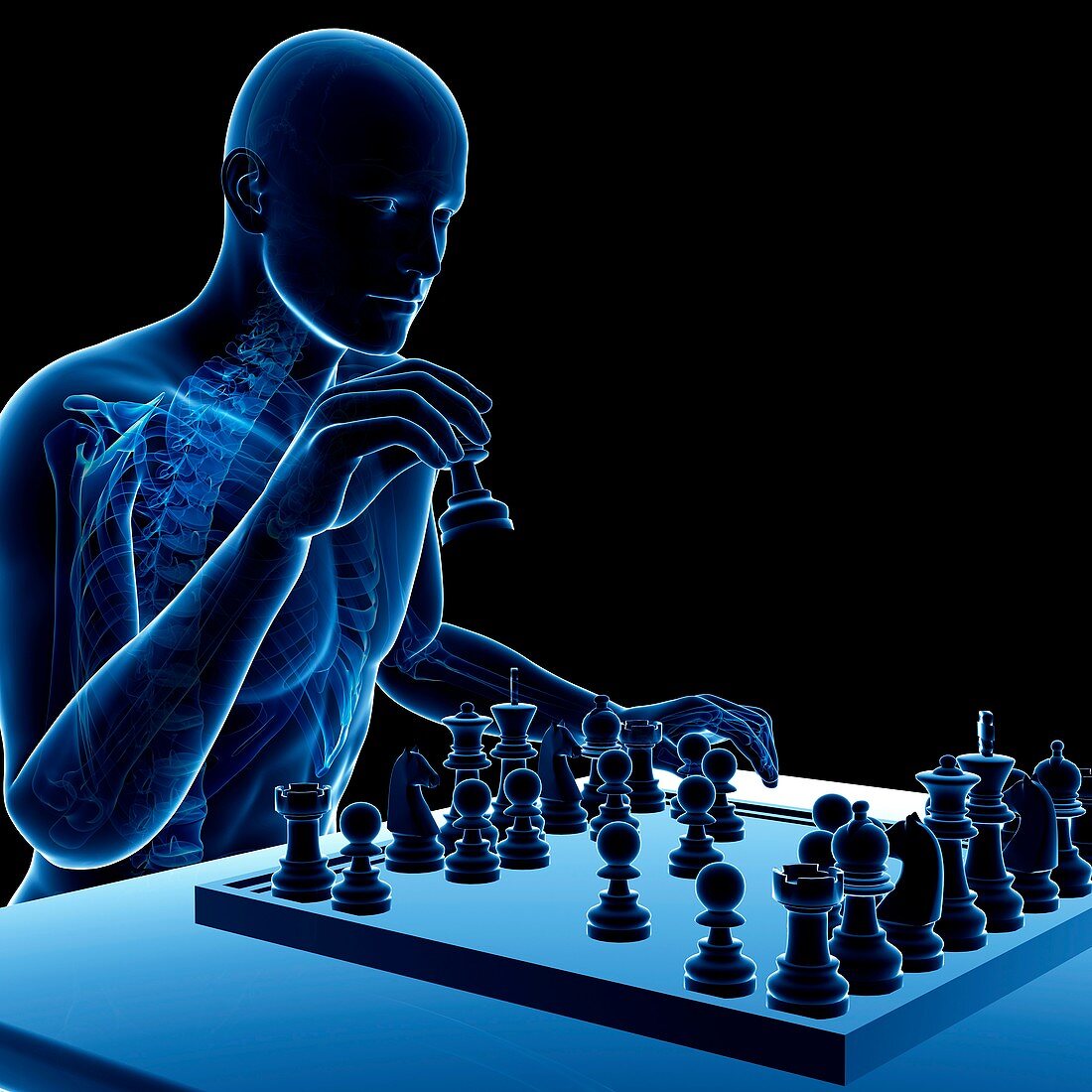 Chess player,artwork