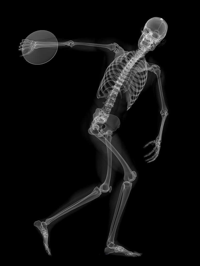 Skeleton throwing discus,artwork