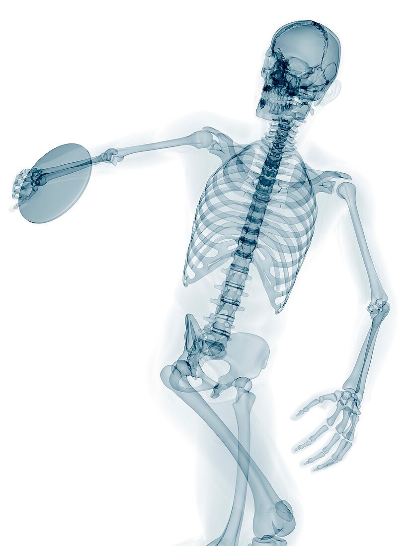 Skeleton throwing discus,artwork