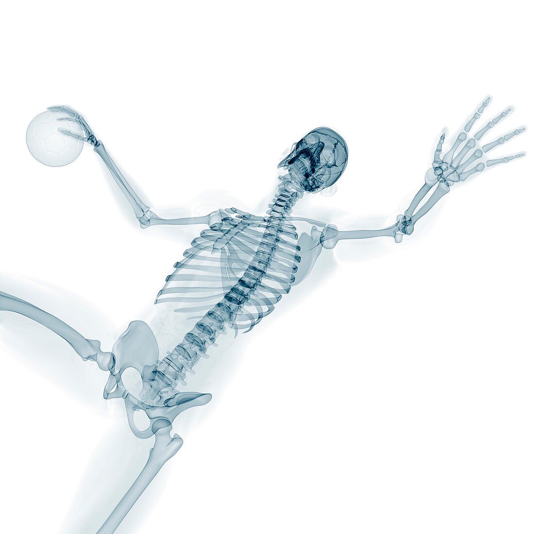 Skeleton playing handball,artwork