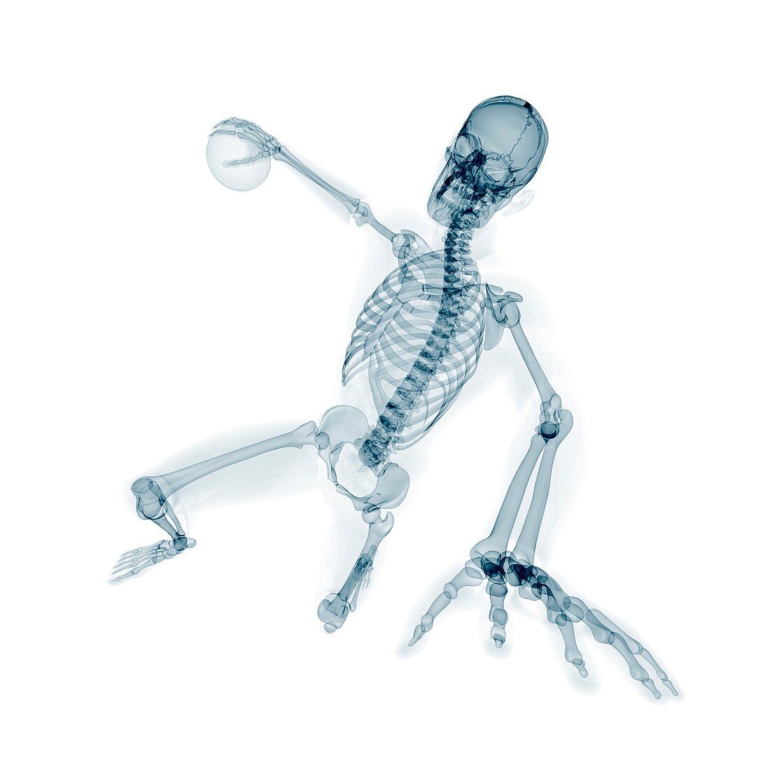 Skeleton playing handball,artwork