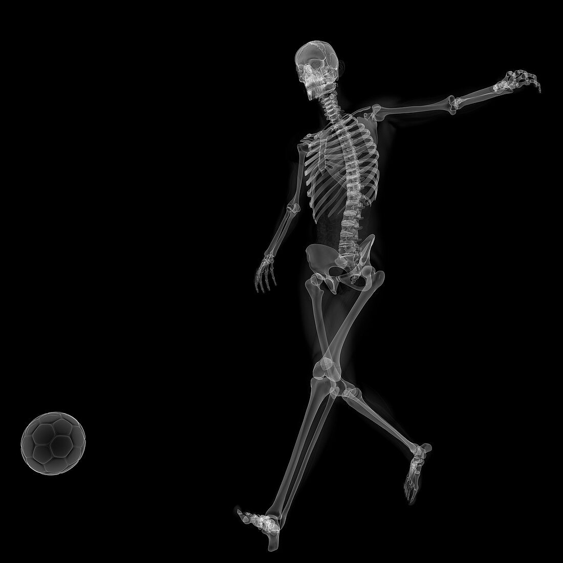 Skeleton playing football,artwork