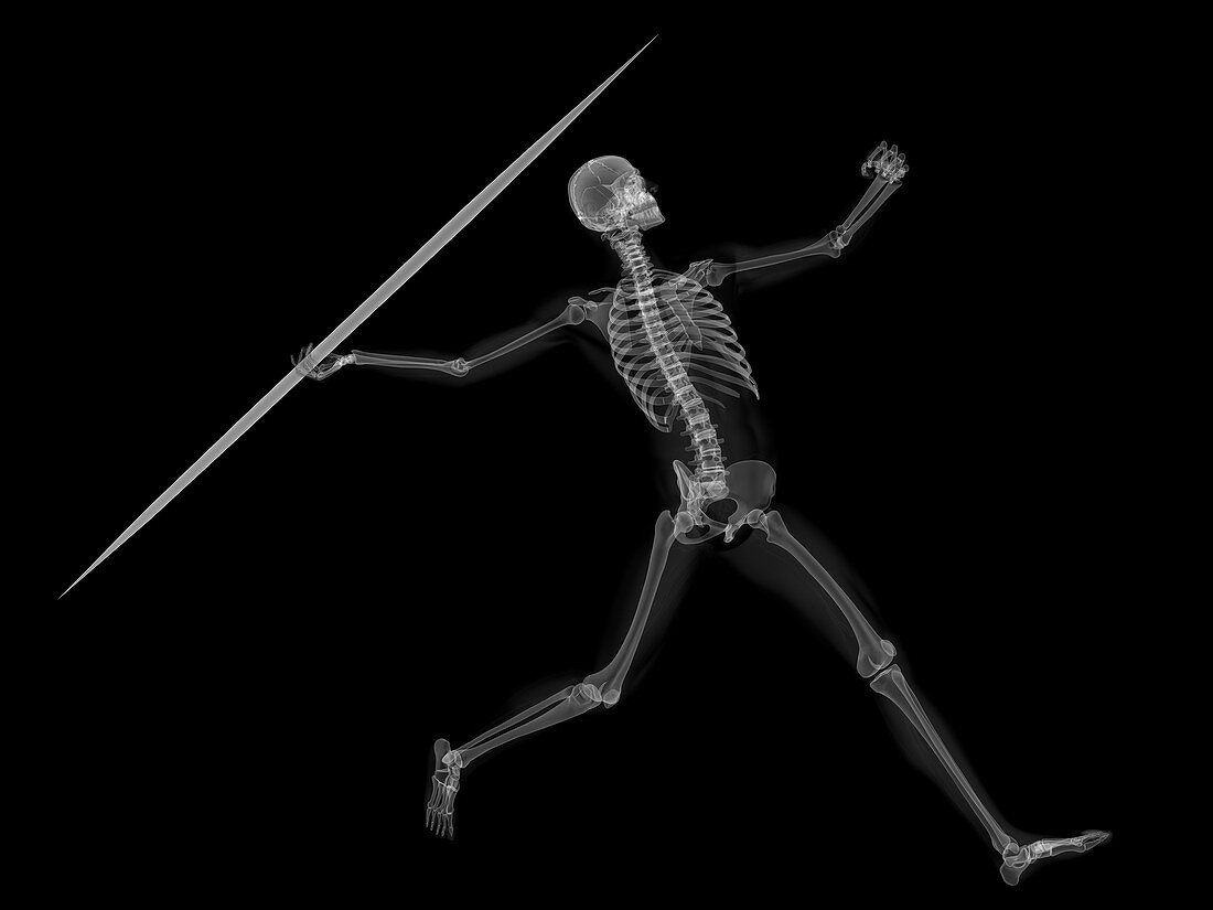 Skeleton throwing javelin,artwork