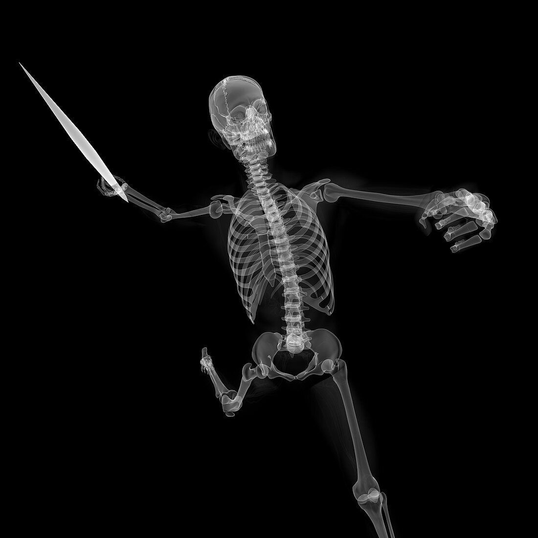 Skeleton throwing javelin,artwork