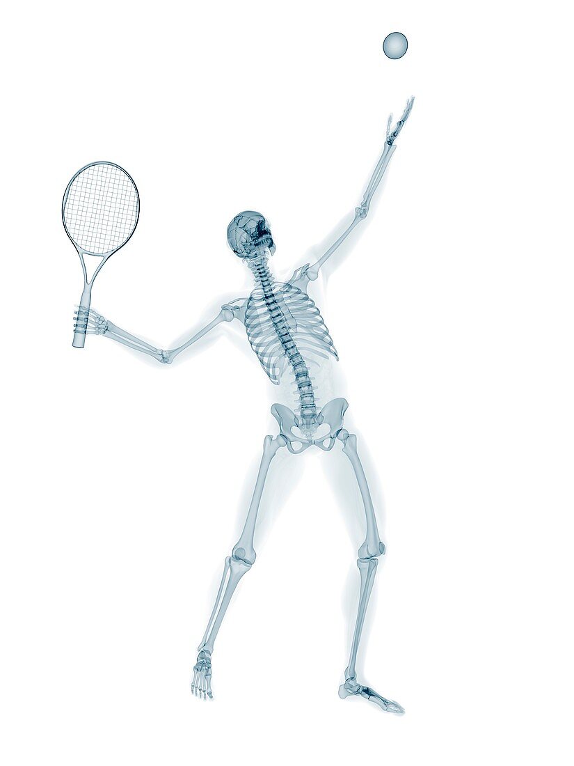 Skeleton playing tennis,artwork