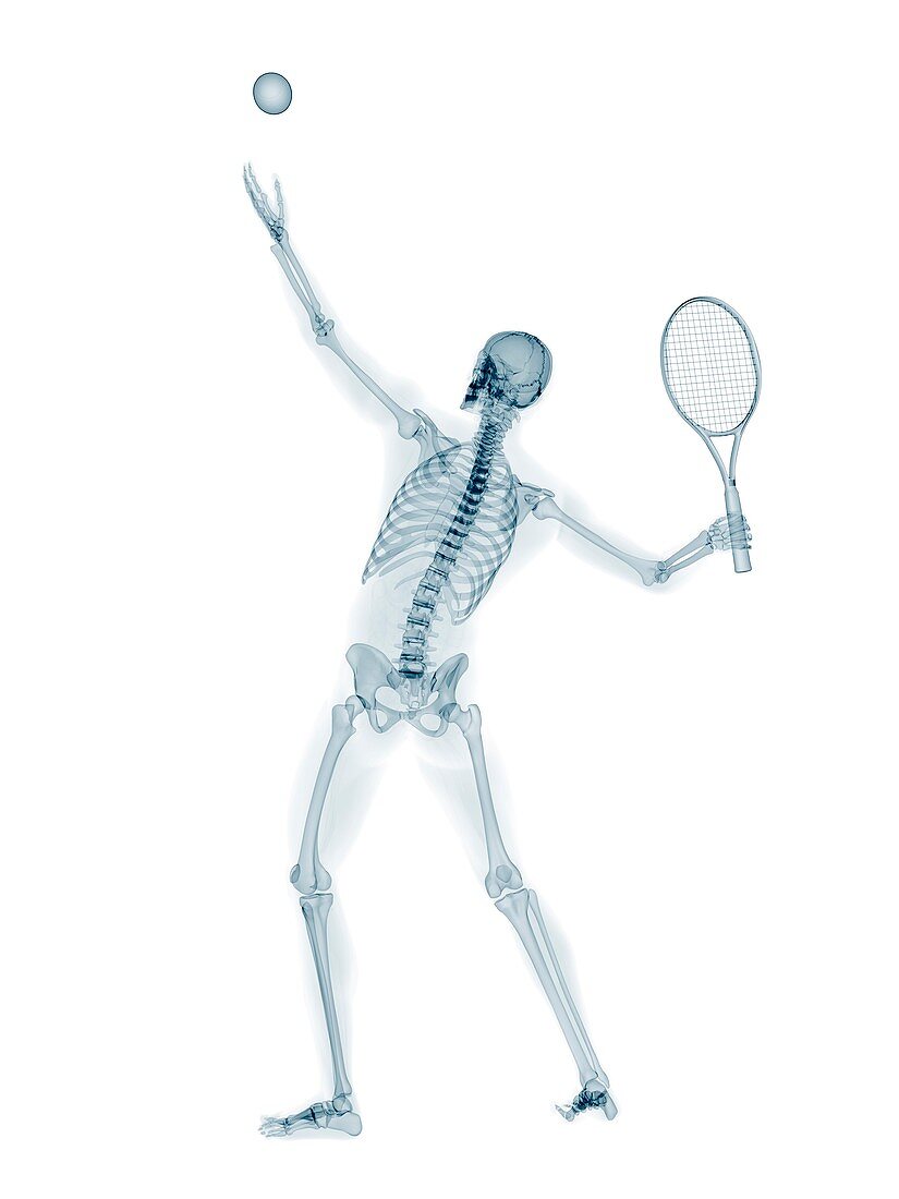 Skeleton playing tennis,artwork