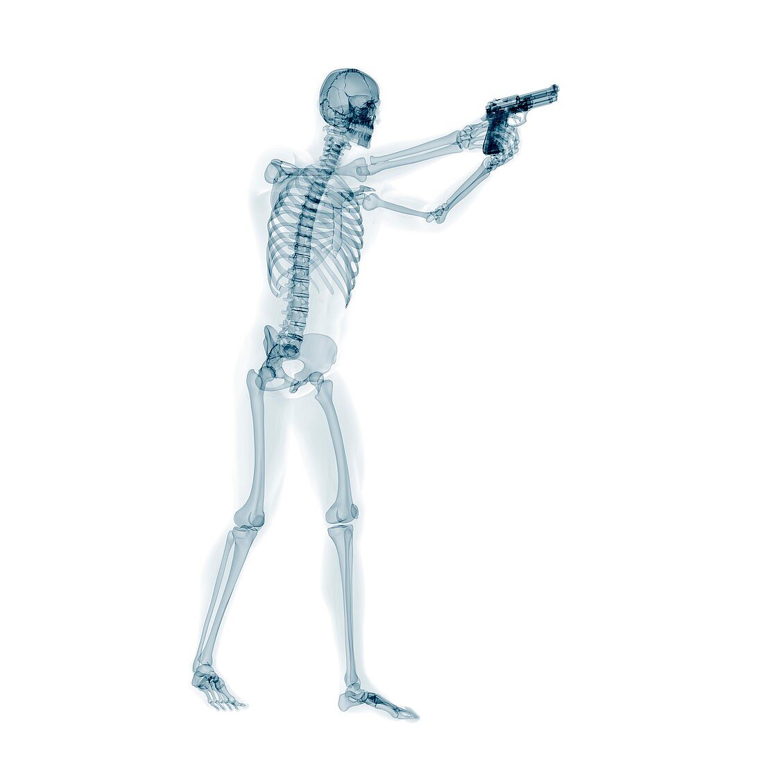 Skeleton with gun,artwork