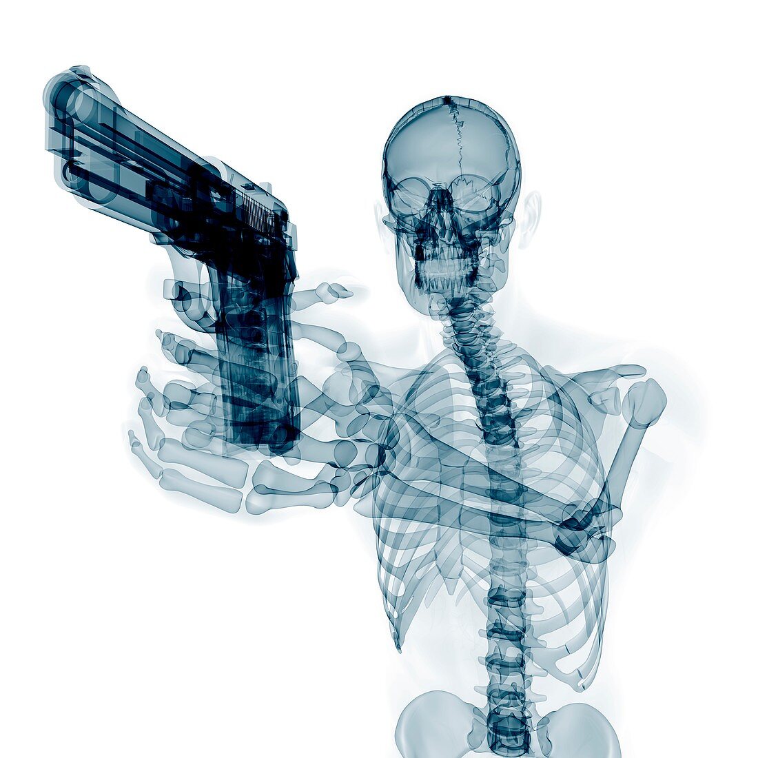 Skeleton with gun,artwork