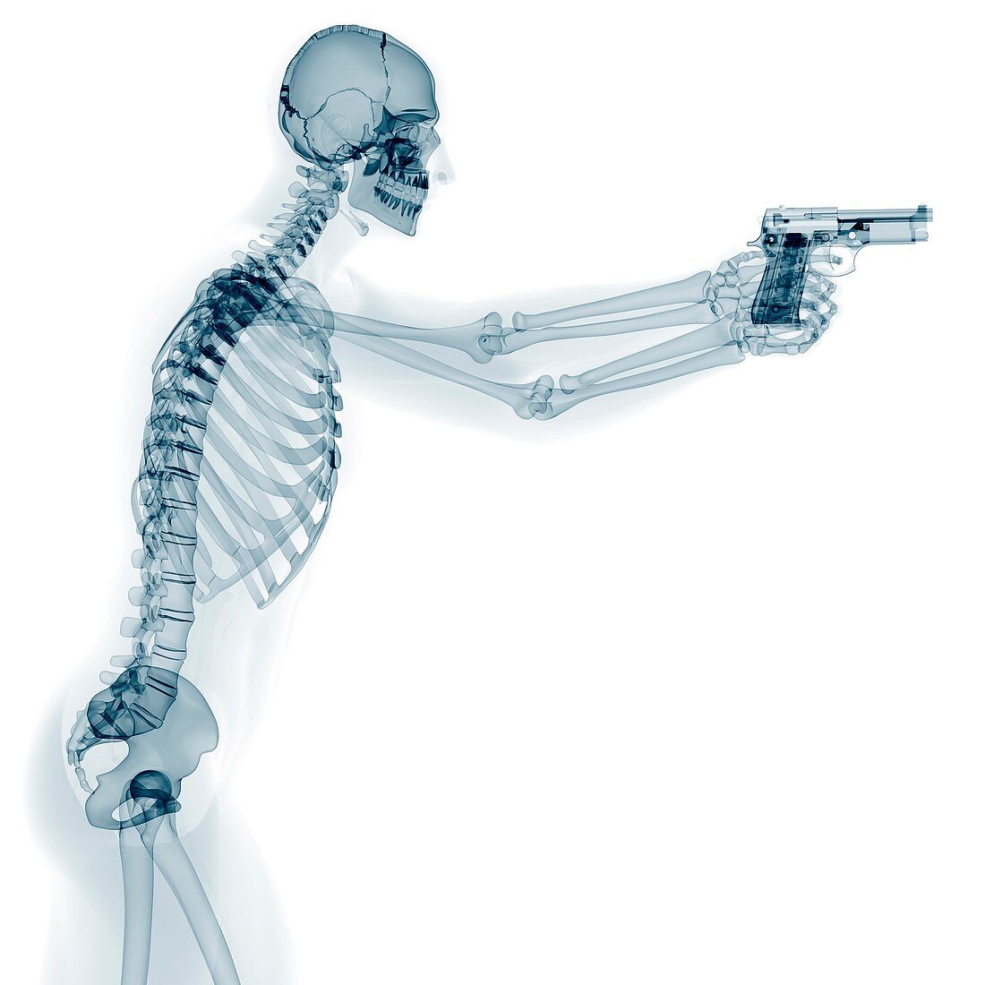 Skeleton with gun,artwork