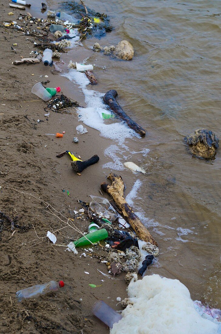 Washed up litter