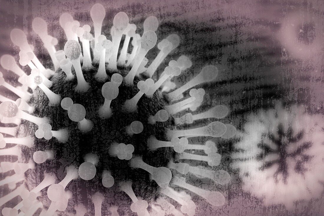 Flu virus particles,artwork