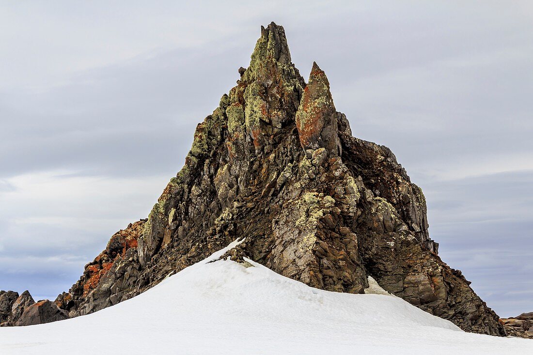 Lichen-covered cliffs,Antarctica
