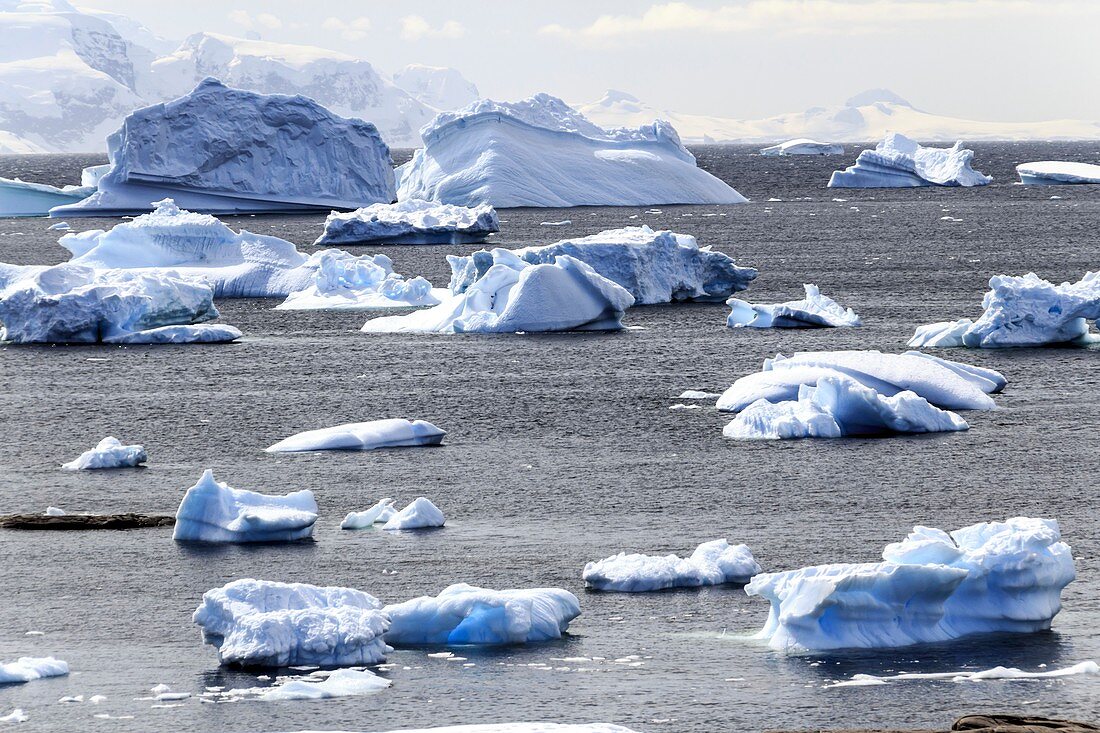 Icebergs,Antarctica