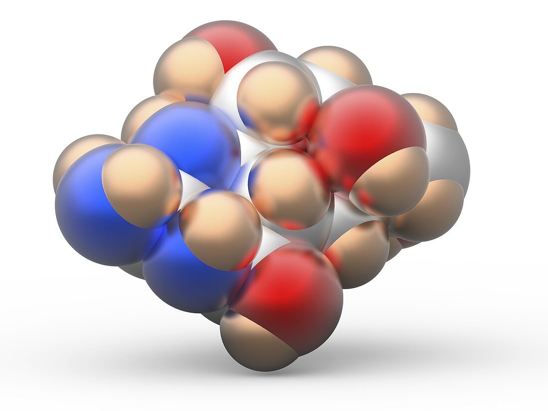 Tetrodotoxin TTX neurotoxin molecule